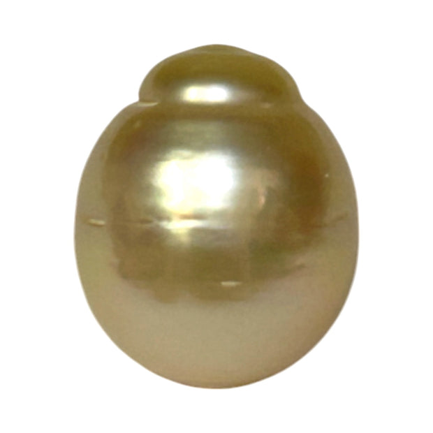 Giant Oval 13.7 x 16.3mm 22 Carats Gold South Sea Pearl Loose Un-Drilled