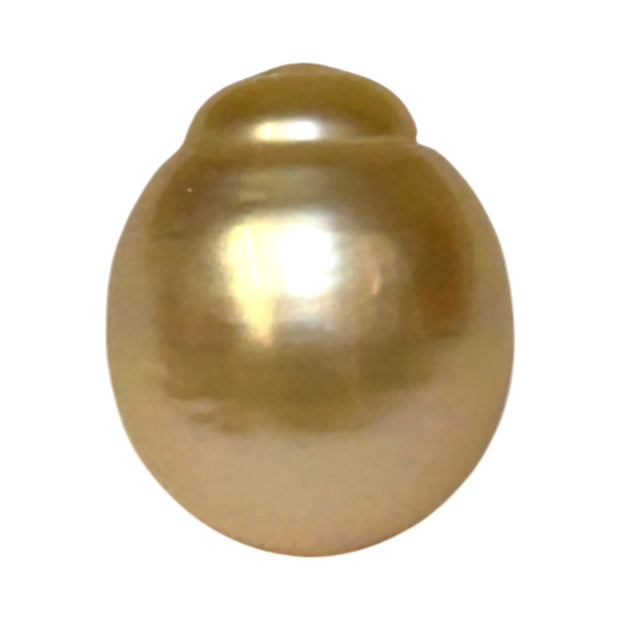 Giant Oval 13.7 x 16.3mm 22 Carats Gold South Sea Pearl Loose Un-Drilled