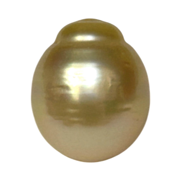 Giant Oval 13.7 x 16.3mm 22 Carats Gold South Sea Pearl Loose Un-Drilled