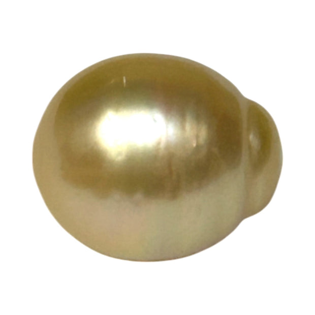 Giant Oval 13.7 x 16.3mm 22 Carats Gold South Sea Pearl Loose Un-Drilled