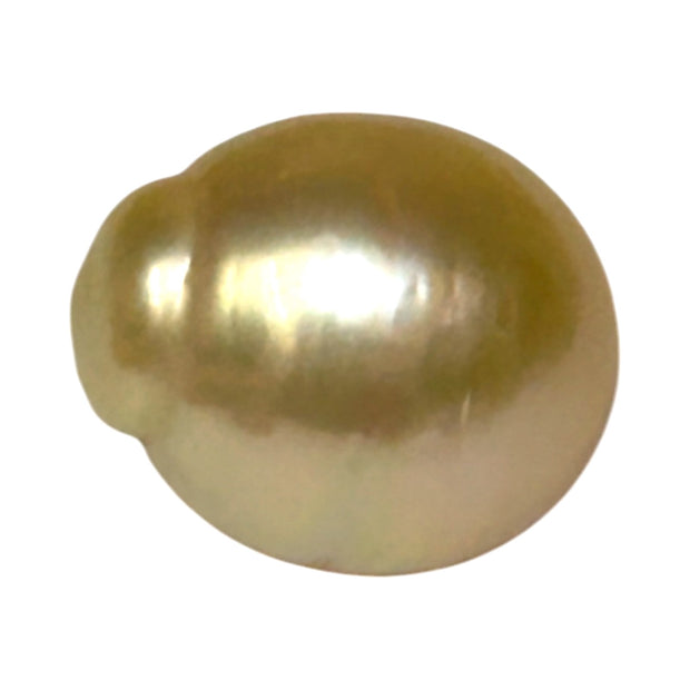 Giant Oval 13.7 x 16.3mm 22 Carats Gold South Sea Pearl Loose Un-Drilled