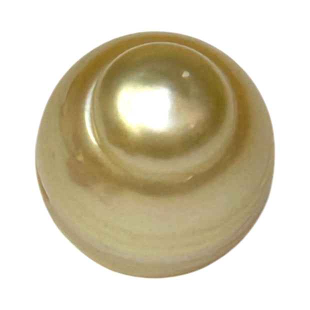 Giant Oval 13.7 x 16.3mm 22 Carats Gold South Sea Pearl Loose Un-Drilled