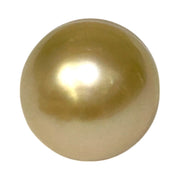 Giant Oval 13.7 x 16.3mm 22 Carats Gold South Sea Pearl Loose Un-Drilled