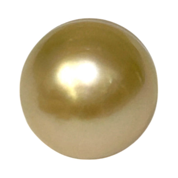 Giant Oval 13.7 x 16.3mm 22 Carats Gold South Sea Pearl Loose Un-Drilled