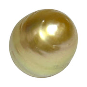 Oval Drop 14.3 x 17.7mm Deep Gold Philippines South Sea Loose Pearl