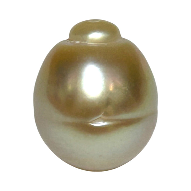 Giant 15.7 x 18.4mm Rich Gold Philippines South Sea Pearl Loose
