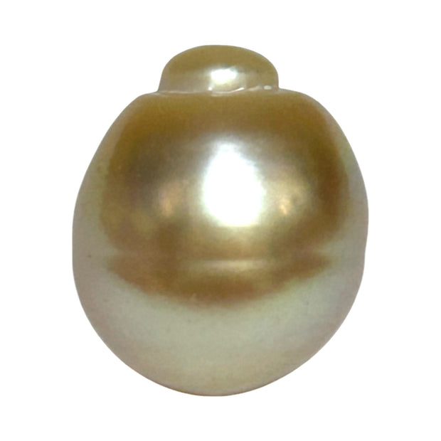 Giant 15.7 x 18.4mm Rich Gold Philippines South Sea Pearl Loose