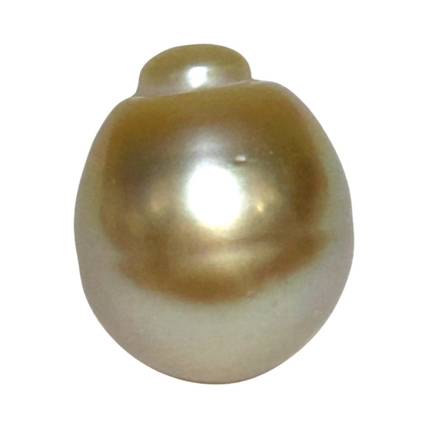 Giant 15.7 x 18.4mm Rich Gold Philippines South Sea Pearl Loose