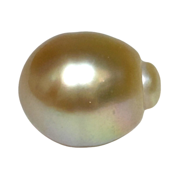 Giant 15.7 x 18.4mm Rich Gold Philippines South Sea Pearl Loose