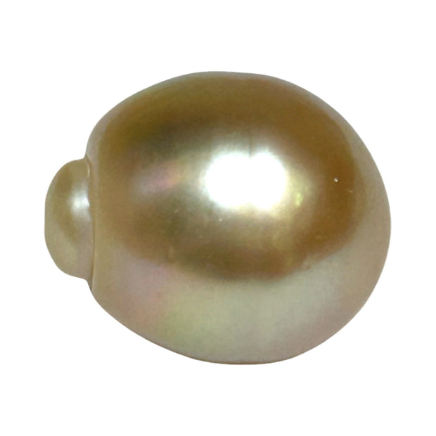 Giant 15.7 x 18.4mm Rich Gold Philippines South Sea Pearl Loose