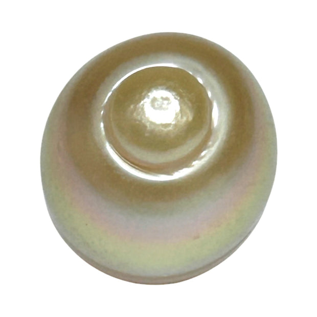 Giant 15.7 x 18.4mm Rich Gold Philippines South Sea Pearl Loose
