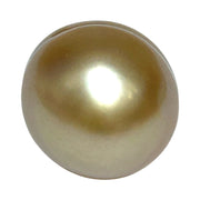 Giant 15.7 x 18.4mm Rich Gold Philippines South Sea Pearl Loose