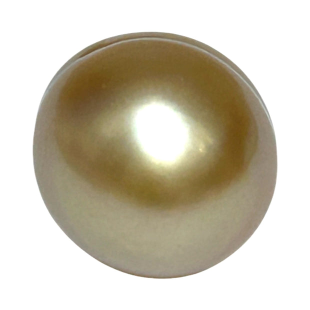 Giant 15.7 x 18.4mm Rich Gold Philippines South Sea Pearl Loose