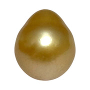 5A Smooth Giant 13.7 x 16mm 20.5 Carats Rich Gold South Sea Pearl
