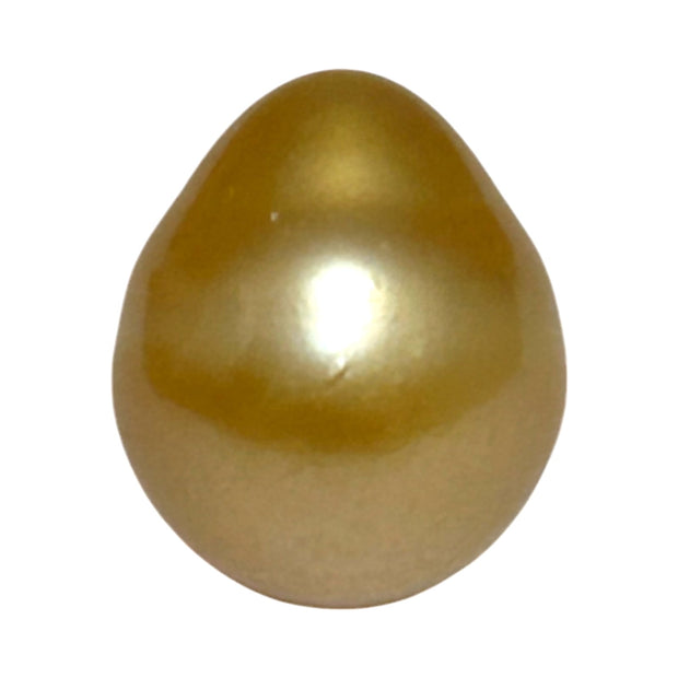 5A Smooth Giant 13.7 x 16mm 20.5 Carats Rich Gold South Sea Pearl