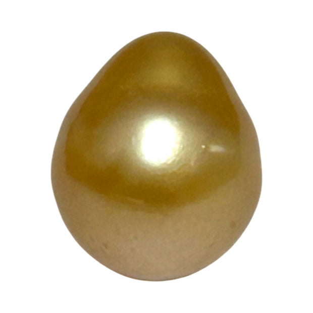 5A Smooth Giant 13.7 x 16mm 20.5 Carats Rich Gold South Sea Pearl