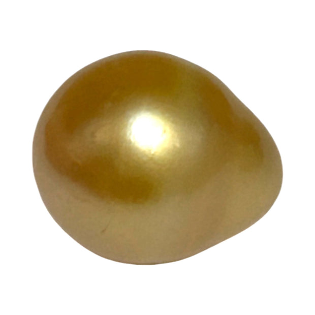 5A Smooth Giant 13.7 x 16mm 20.5 Carats Rich Gold South Sea Pearl