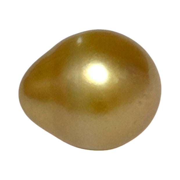 5A Smooth Giant 13.7 x 16mm 20.5 Carats Rich Gold South Sea Pearl