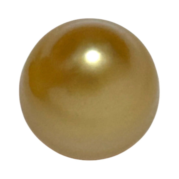 5A Smooth Giant 13.7 x 16mm 20.5 Carats Rich Gold South Sea Pearl