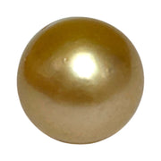 5A Smooth Giant 13.7 x 16mm 20.5 Carats Rich Gold South Sea Pearl