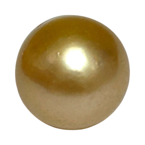 5A Smooth Giant 13.7 x 16mm 20.5 Carats Rich Gold South Sea Pearl