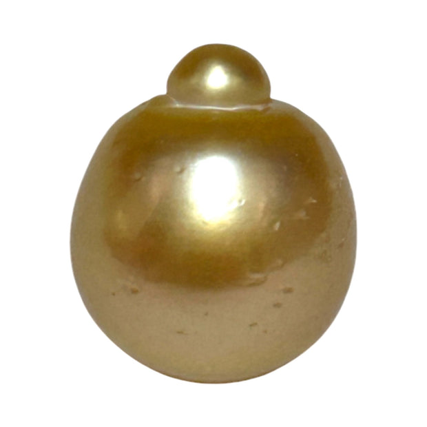 RARE Giant 16.3 x 19.1mm 33.7 Carats Deep Gold South Sea Pearl Loose