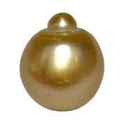 RARE Giant 16.3 x 19.1mm 33.7 Carats Deep Gold South Sea Pearl Loose