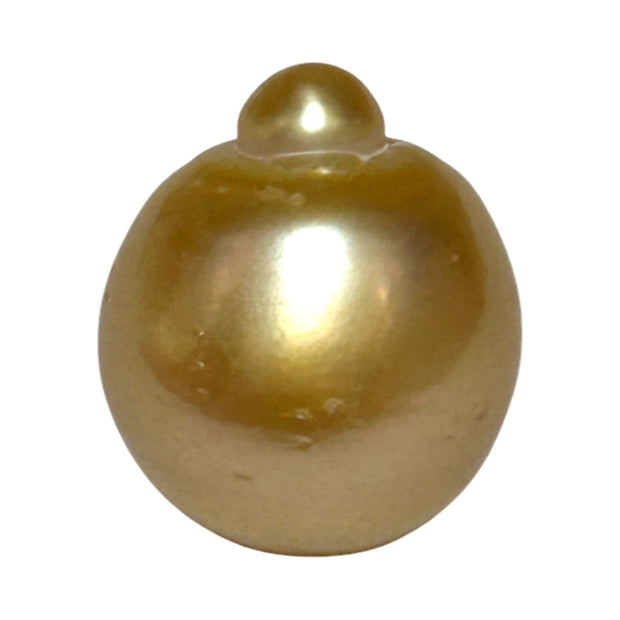 RARE Giant 16.3 x 19.1mm 33.7 Carats Deep Gold South Sea Pearl Loose