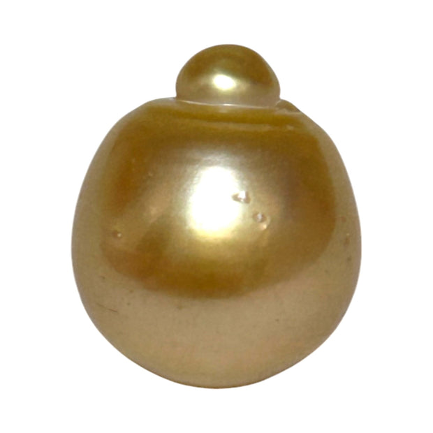 RARE Giant 16.3 x 19.1mm 33.7 Carats Deep Gold South Sea Pearl Loose