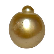 RARE Giant 16.3 x 19.1mm 33.7 Carats Deep Gold South Sea Pearl Loose