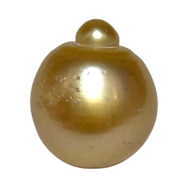 RARE Giant 16.3 x 19.1mm 33.7 Carats Deep Gold South Sea Pearl Loose