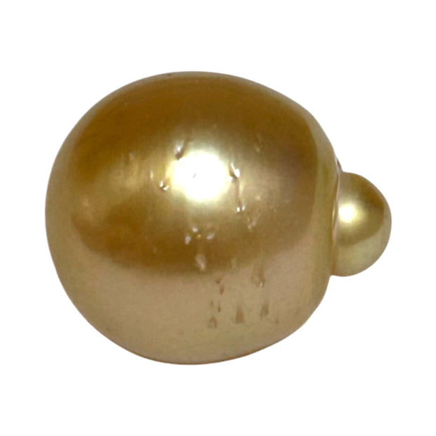 RARE Giant 16.3 x 19.1mm 33.7 Carats Deep Gold South Sea Pearl Loose