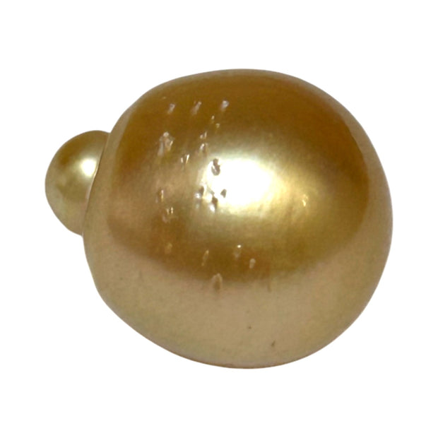 RARE Giant 16.3 x 19.1mm 33.7 Carats Deep Gold South Sea Pearl Loose