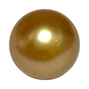 RARE Giant 16.3 x 19.1mm 33.7 Carats Deep Gold South Sea Pearl Loose