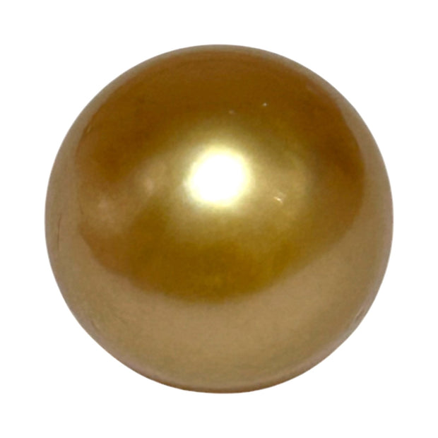 RARE Giant 16.3 x 19.1mm 33.7 Carats Deep Gold South Sea Pearl Loose