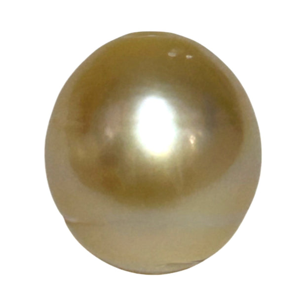 Giant 15 x 16.6mm 26.8 Carats Natural Gold South Sea Loose Pearl