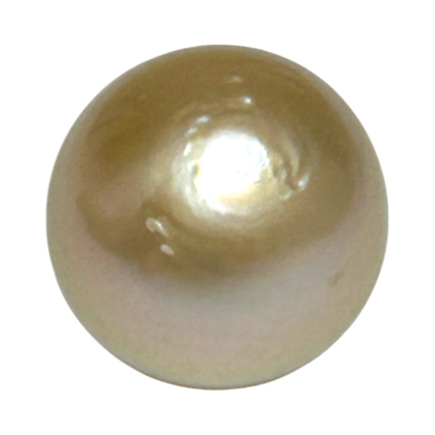 Giant 15 x 16.6mm 26.8 Carats Natural Gold South Sea Loose Pearl