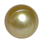 Giant 15 x 16.6mm 26.8 Carats Natural Gold South Sea Loose Pearl