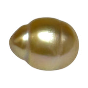 Baroque Giant 13.9 x 18.2mm 23.8 Carats Rich Gold South Sea Pearl