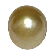 Baroque Giant 13.9 x 18.2mm 23.8 Carats Rich Gold South Sea Pearl
