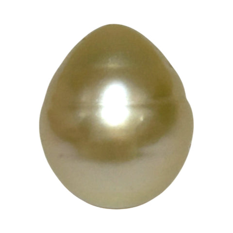 Giant Smooth 15 x 17.9mm 27.8 Carats Gold South Sea Teardrop Pearl