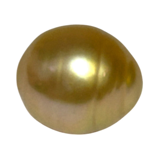 Silky Oval 13.3 x 15.1mm 19.5 Carats Deep Gold South Sea Pearl Loose