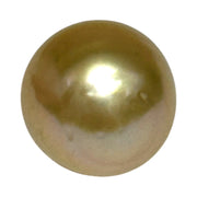Silky Oval 13.3 x 15.1mm 19.5 Carats Deep Gold South Sea Pearl Loose