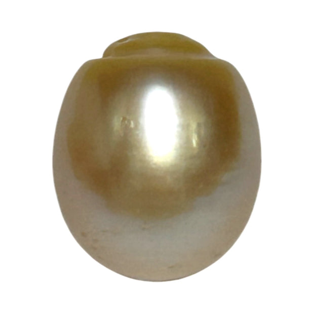 Smooth 13.9 x 16.4mm 23.6 Carats Gold South Sea Pearl Loose