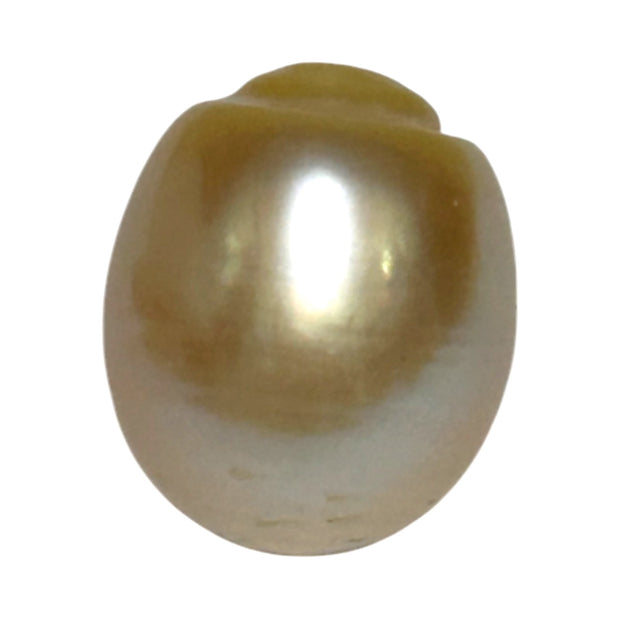 Smooth 13.9 x 16.4mm 23.6 Carats Gold South Sea Pearl Loose