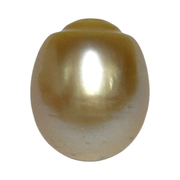 Smooth 13.9 x 16.4mm 23.6 Carats Gold South Sea Pearl Loose