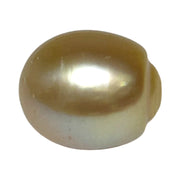 Smooth 13.9 x 16.4mm 23.6 Carats Gold South Sea Pearl Loose