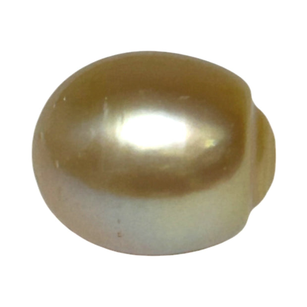 Smooth 13.9 x 16.4mm 23.6 Carats Gold South Sea Pearl Loose