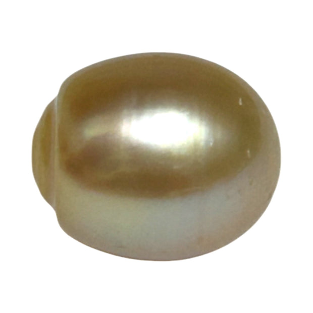 Smooth 13.9 x 16.4mm 23.6 Carats Gold South Sea Pearl Loose