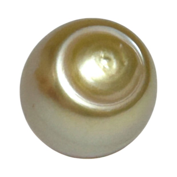 Smooth 13.9 x 16.4mm 23.6 Carats Gold South Sea Pearl Loose